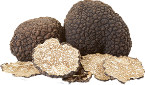 Complete white truffle