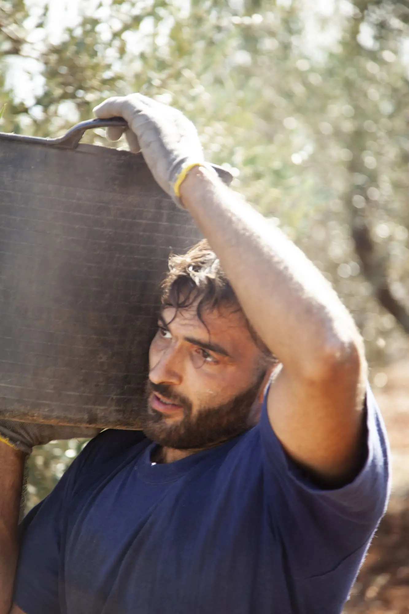 Man with a bucket of olives